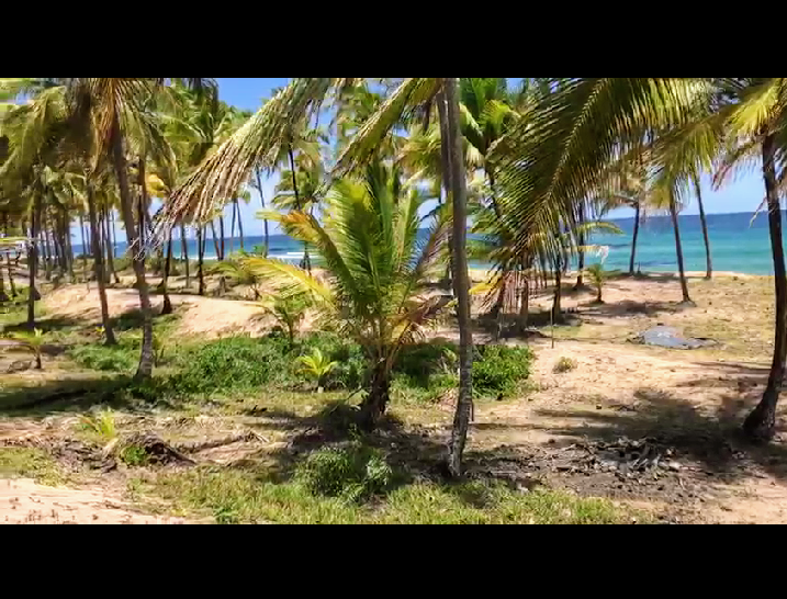 Terreno à venda, 10000m² - Foto 4