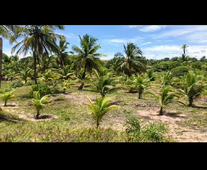 Terreno à venda, 10000m² - Foto 8