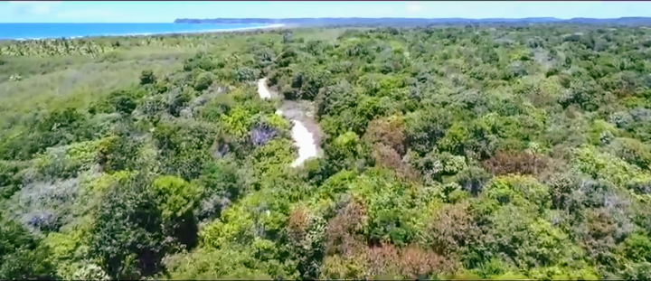 Terreno à venda, 200000m² - Foto 6