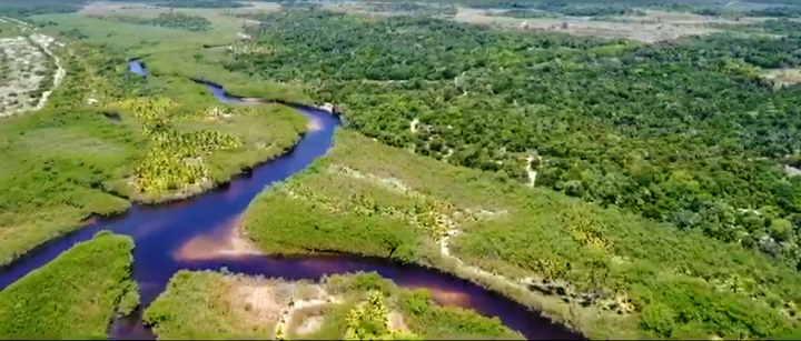 Terreno à venda, 200000m² - Foto 4