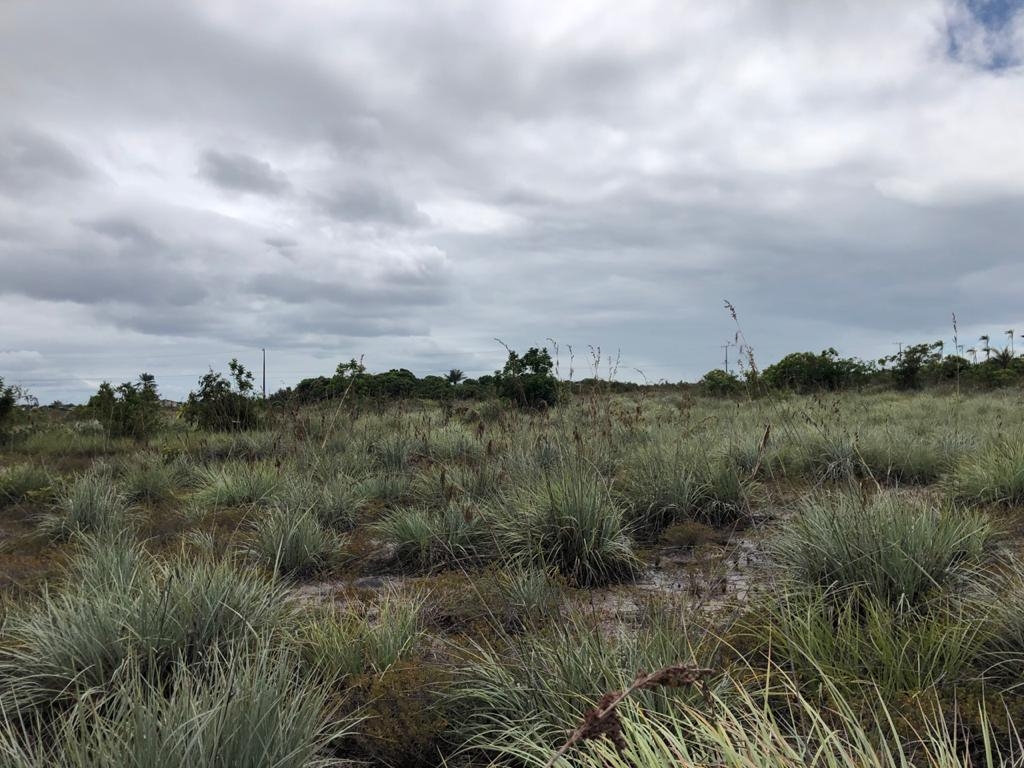 Terreno à venda, 700m² - Foto 5