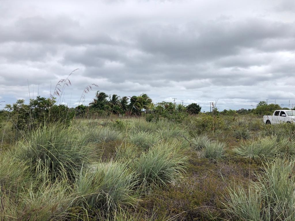 Terreno à venda, 700m² - Foto 2