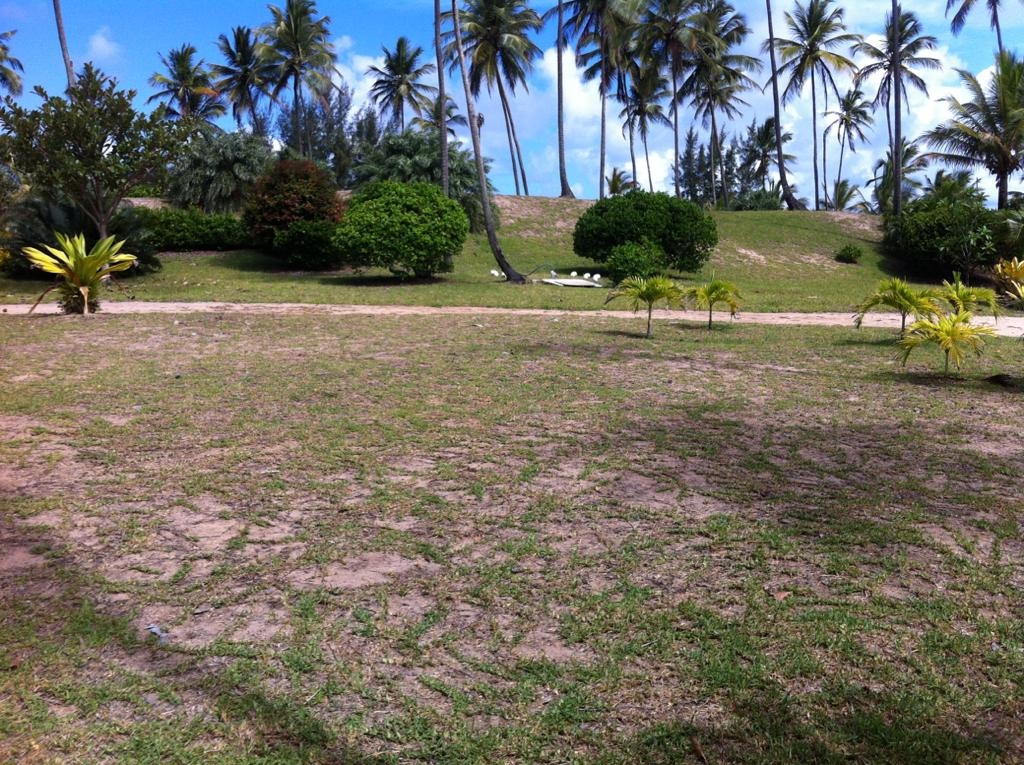 Terreno à venda, 4000m² - Foto 6