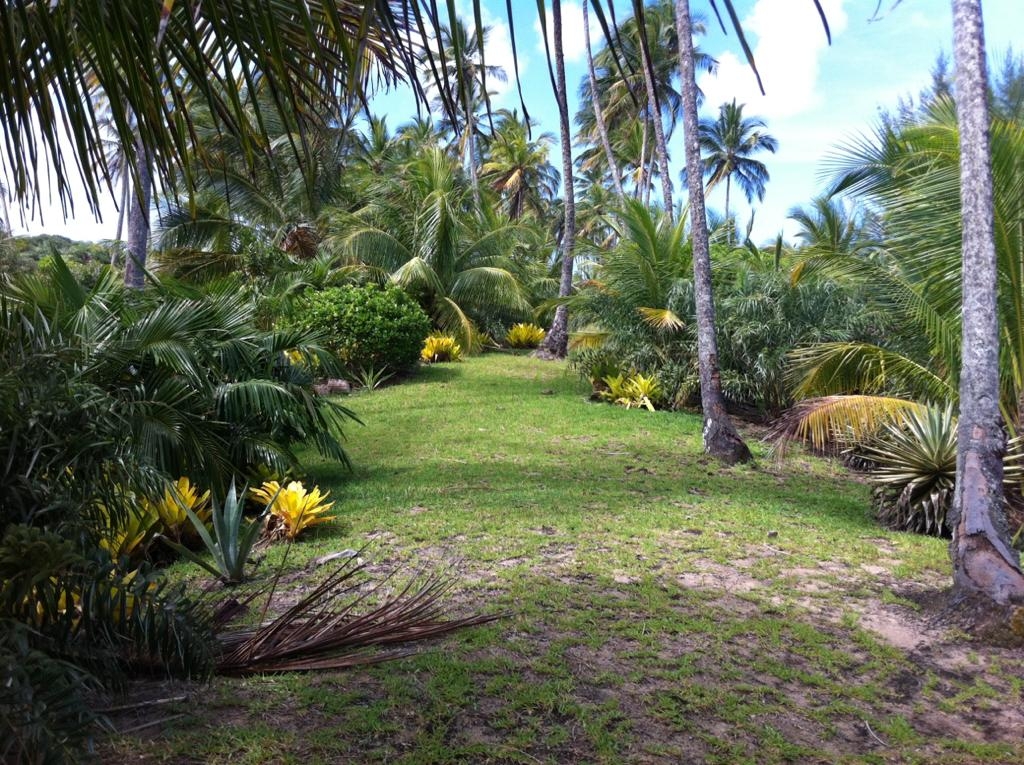 Terreno à venda, 4000m² - Foto 16