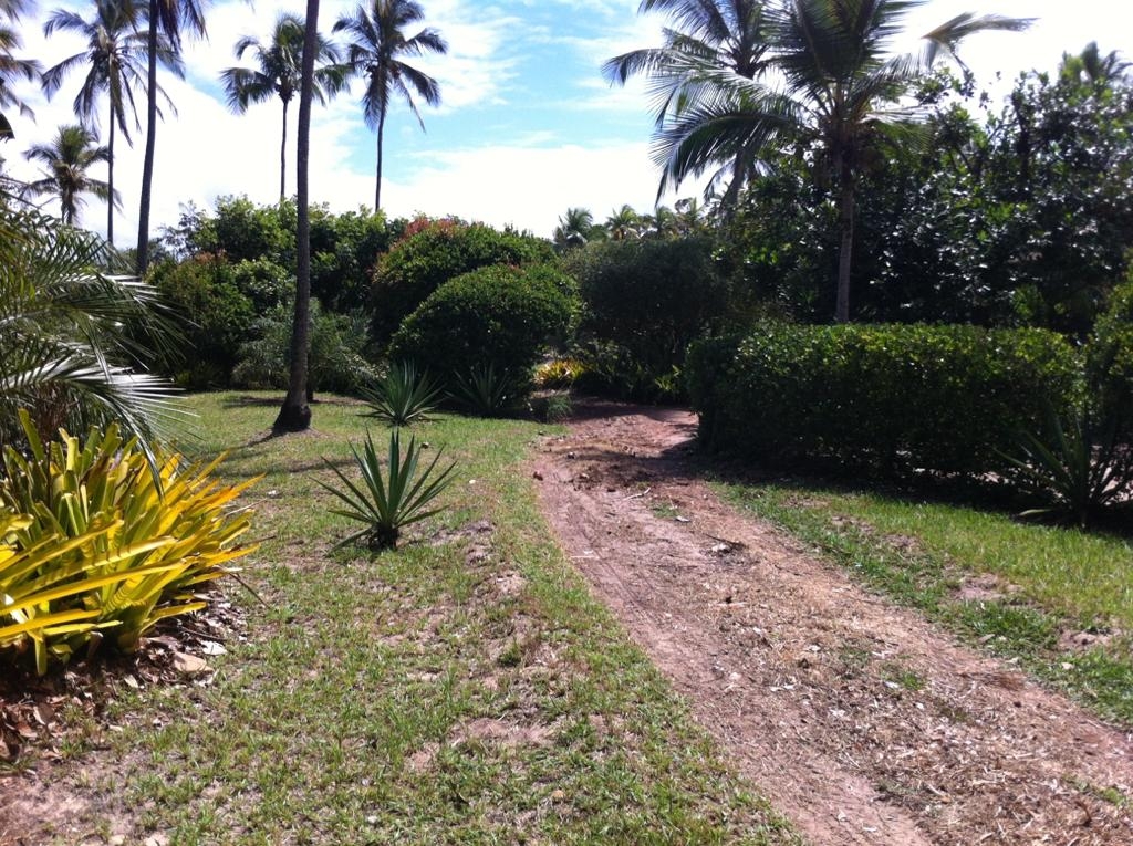 Terreno à venda, 4000m² - Foto 9