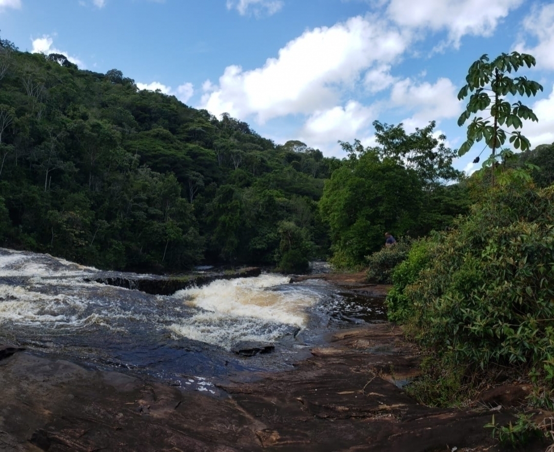 Terreno à venda - Foto 1