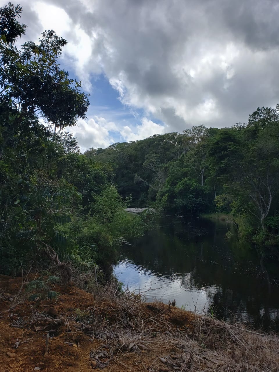 Terreno à venda - Foto 7