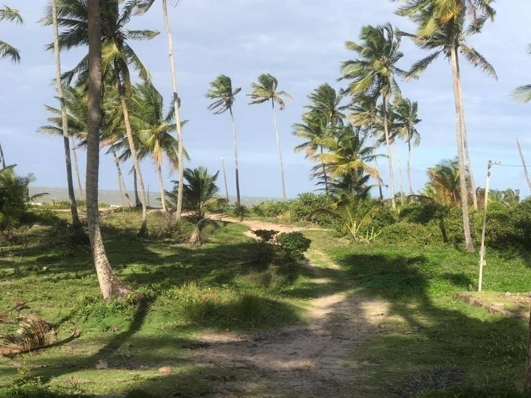 Terreno à venda - Foto 1