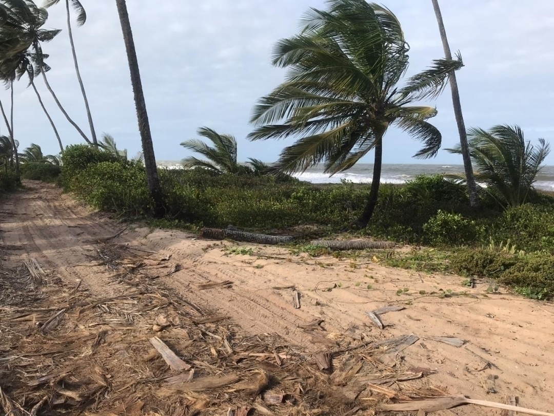 Terreno à venda - Foto 4