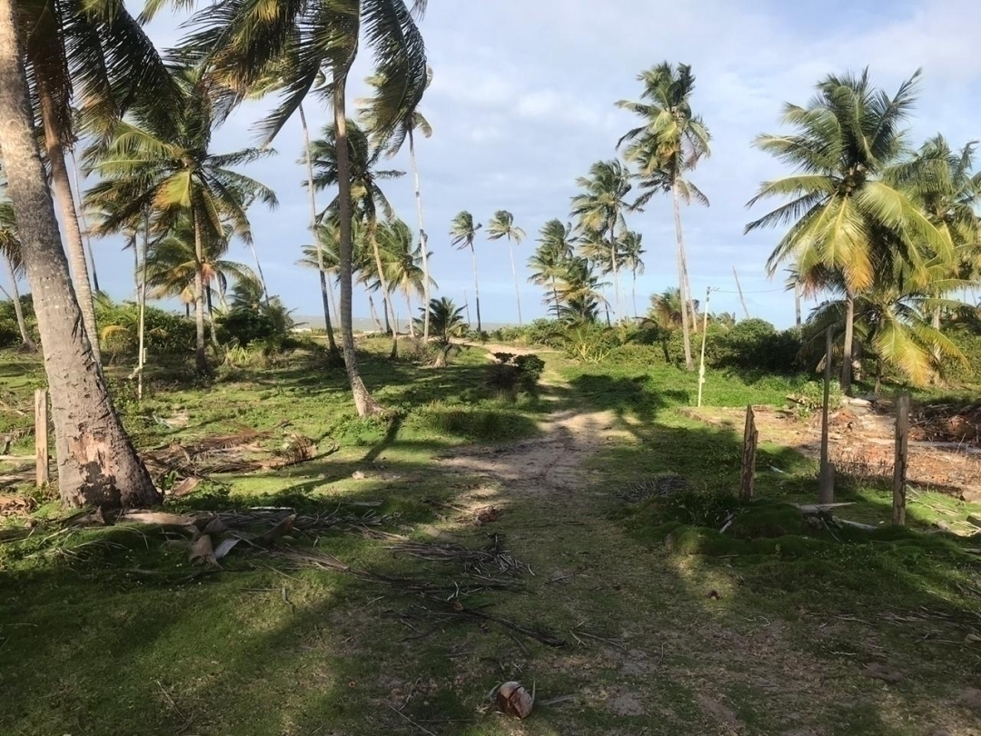 Terreno à venda - Foto 2