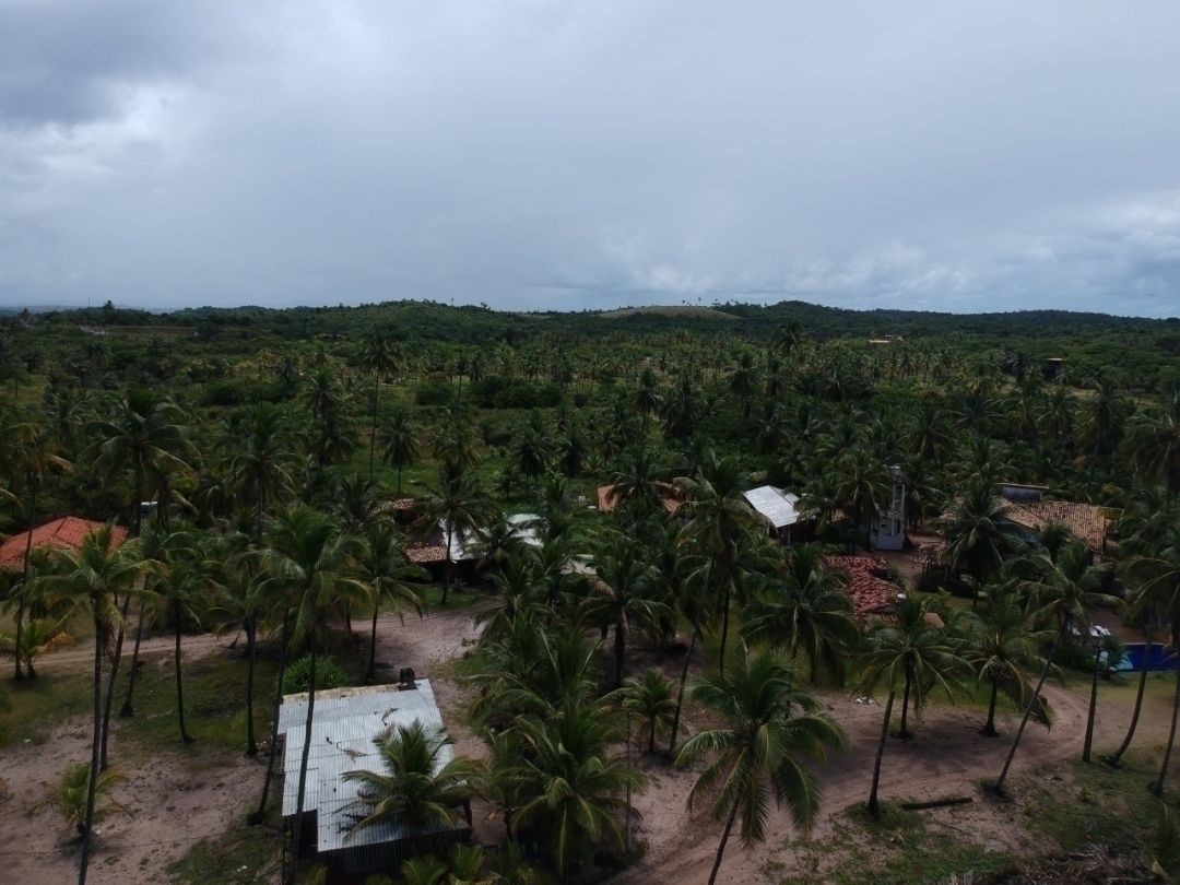 Terreno à venda, 50000m² - Foto 2