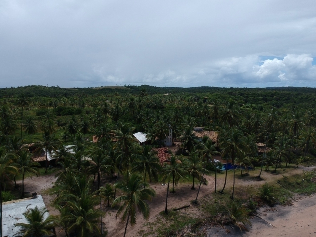 Terreno à venda, 50000m² - Foto 1