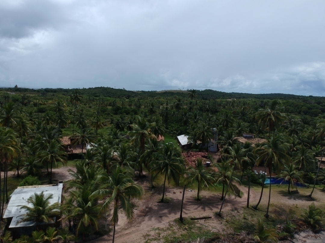 Terreno à venda, 50000m² - Foto 3