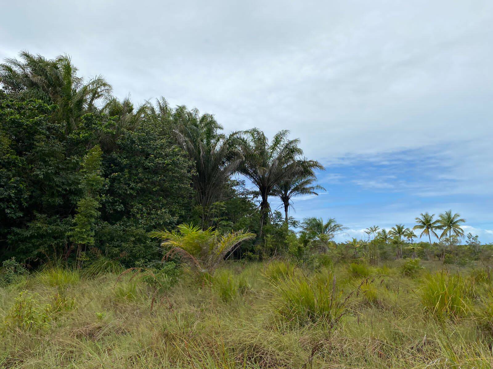 Terreno à venda, 100000m² - Foto 4