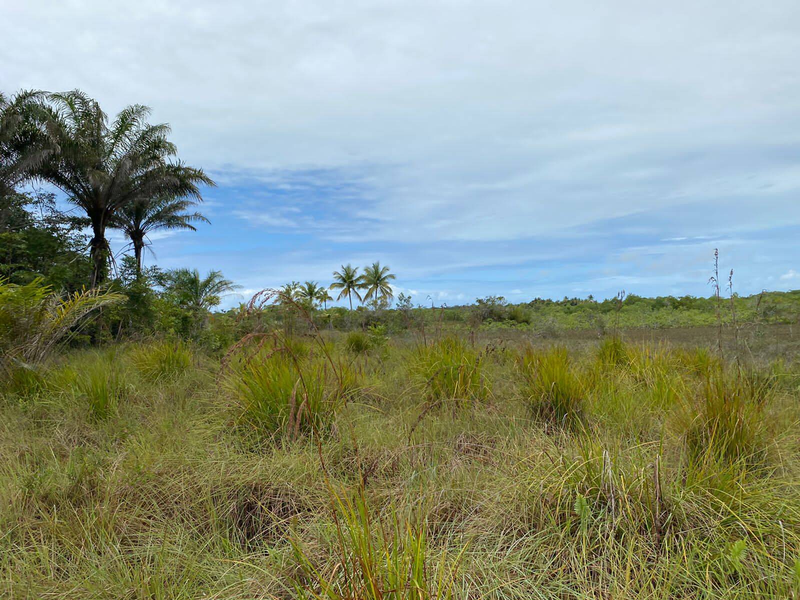 Terreno à venda, 100000m² - Foto 6