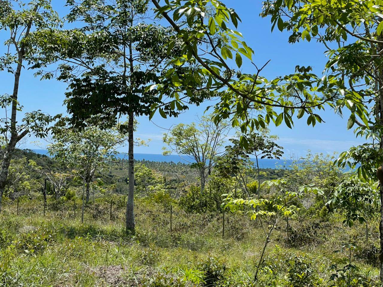 Terreno à venda, 1000m² - Foto 1