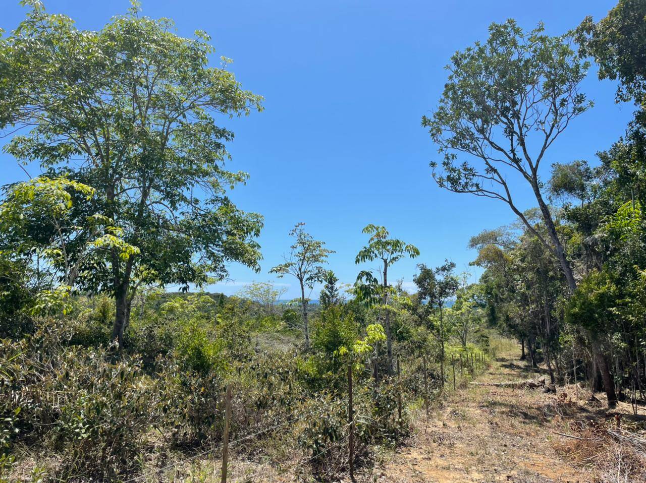 Terreno à venda, 1000m² - Foto 4