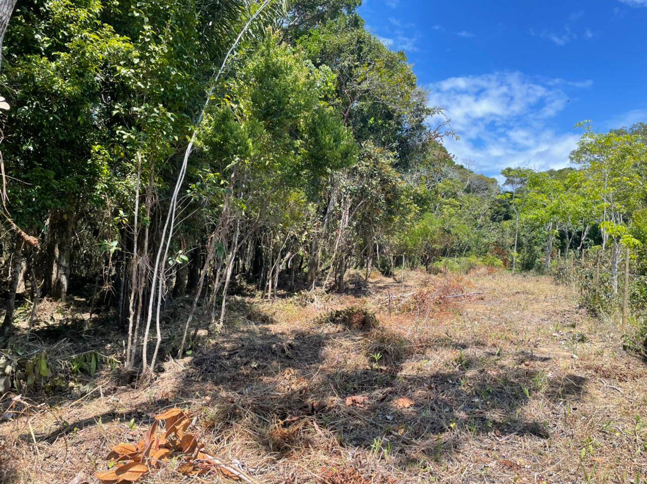 Terreno à venda, 1000m² - Foto 7