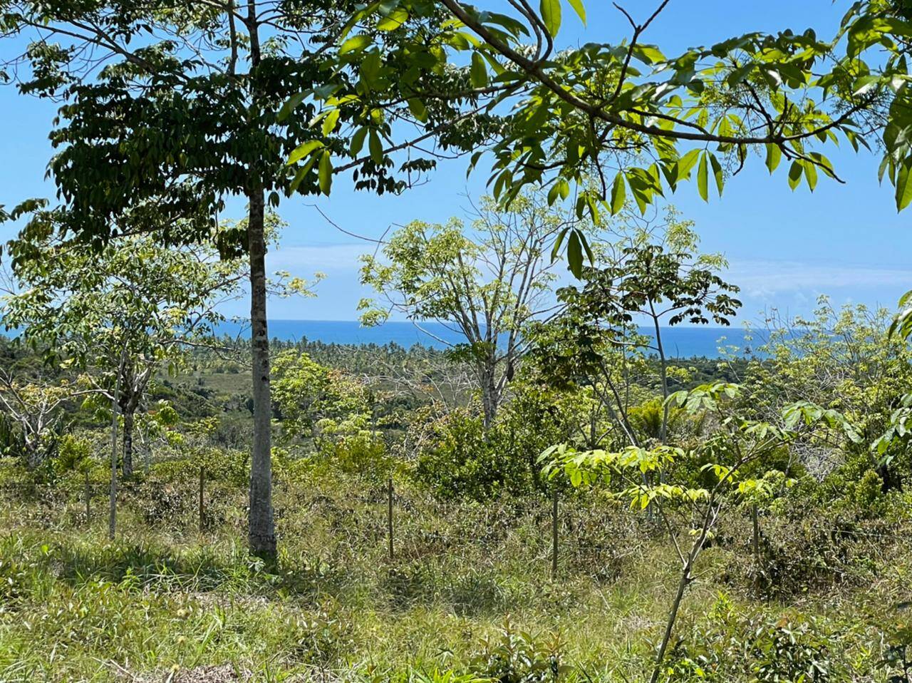 Terreno à venda, 1000m² - Foto 6