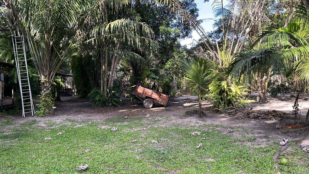 Terreno à venda - Foto 4