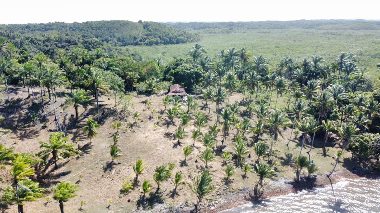 Terreno à venda, 50m² - Foto 1