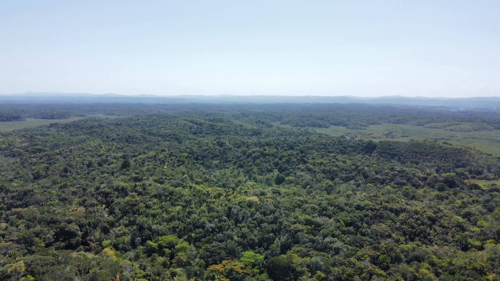 Terreno à venda, 50m² - Foto 7