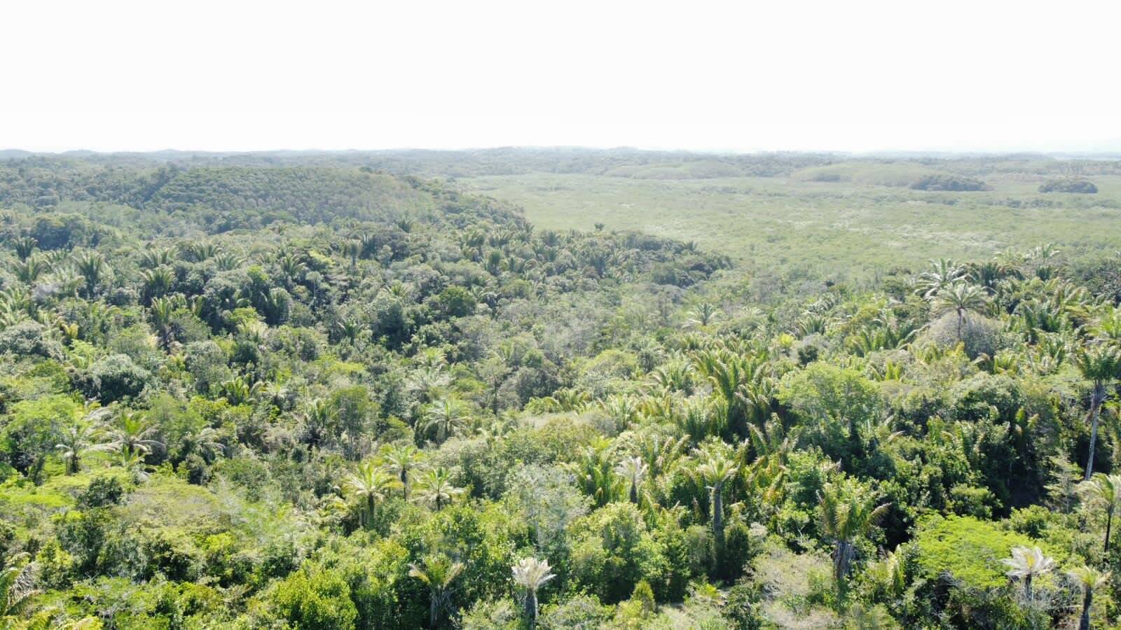 Terreno à venda, 50m² - Foto 11