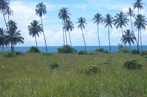 Terreno à venda - Foto 1